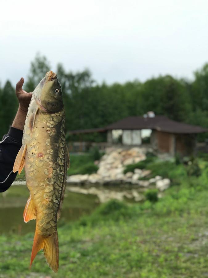 Диброва Dibrova  Екстер'єр фото