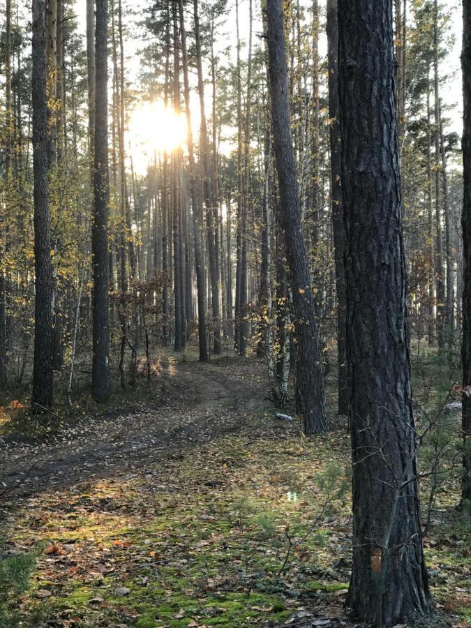 Диброва Dibrova  Екстер'єр фото